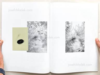 Sample page 7 for book Raymond Meeks – Orchard Volume Two / Not Seen | Not Said